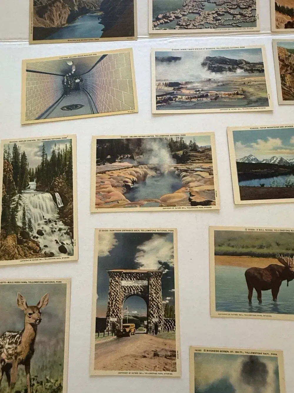 18 Vintage Yellowstone National Park Linen Postcards Unposted Old Faithful Wildl